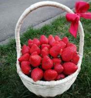Корзина с клубникой «Ягодка моя»